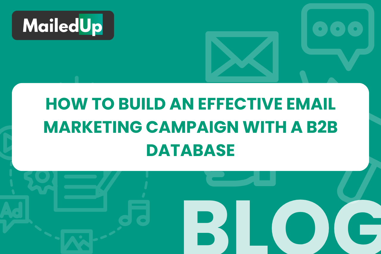 How to Build an Effective Email Marketing Campaign with a B2B Database