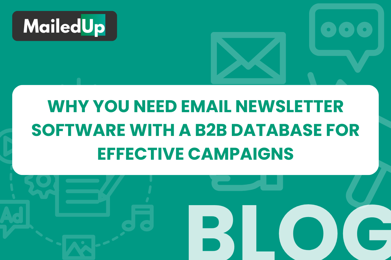 Why You Need Email Newsletter Software with a B2B Database for Effective Campaigns